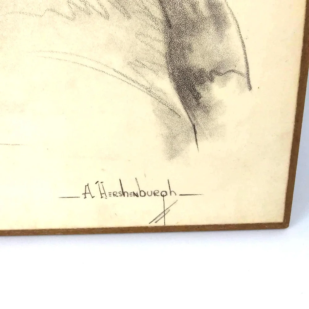 no brand hershenburgh mounted